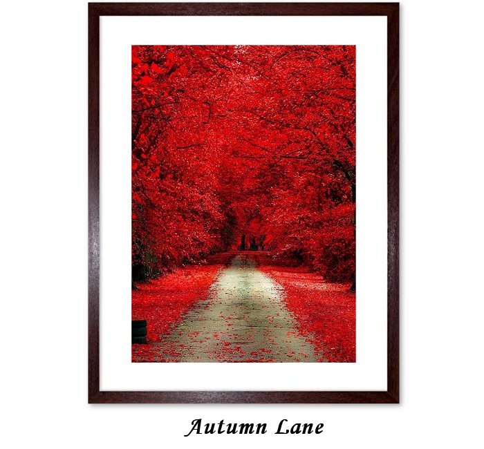 Autumn Lane